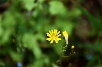 司法部负责人就《国务院关于产业链供应链安全的规定》答记者问